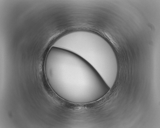 X0000116550543200912101005