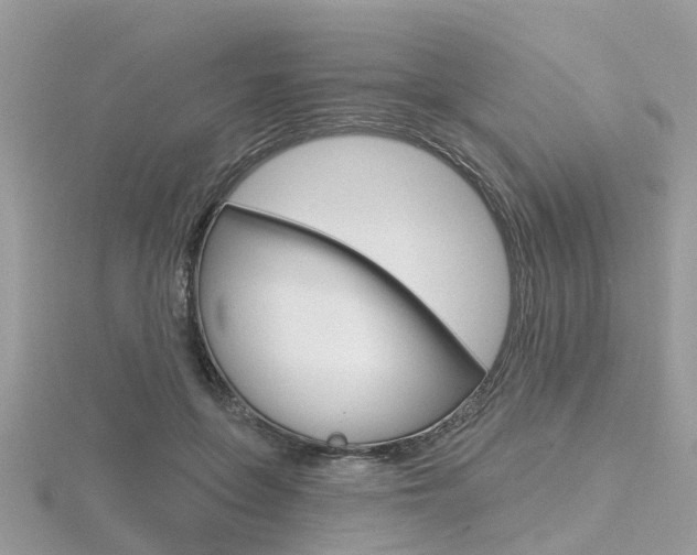 X0000116550551200912101005