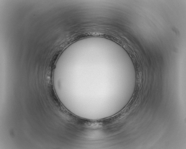 X0000116550553200912101005
