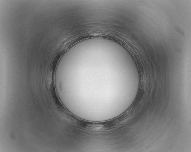 X0000116550554200912101005