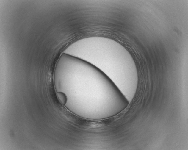 X0000116550555200912101005