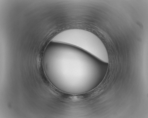 X0000116550558200912101005