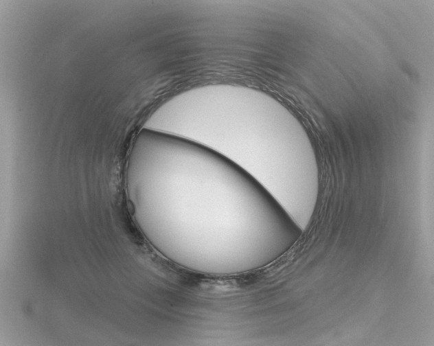 X0000116550559200912101005