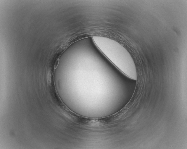 X0000116550562200912101005