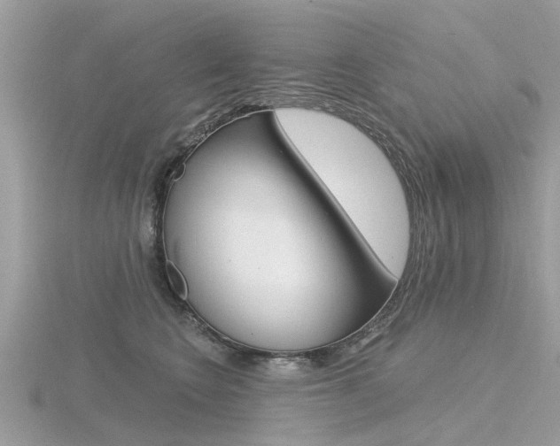 X0000116550566200912101005