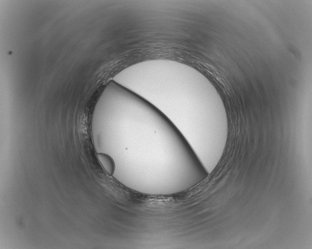X0000116550571200912101005