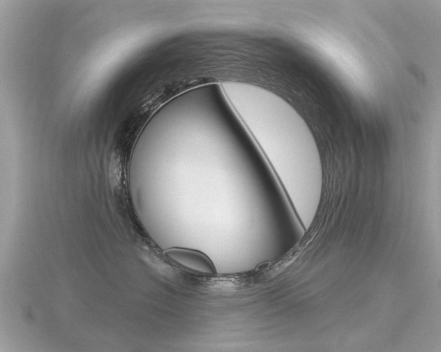 X0000116550574200912101005