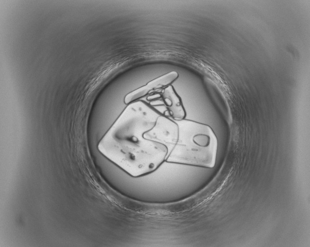 X0000116550577200912101005