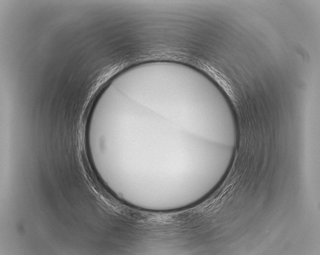 X0000116550578200912101005