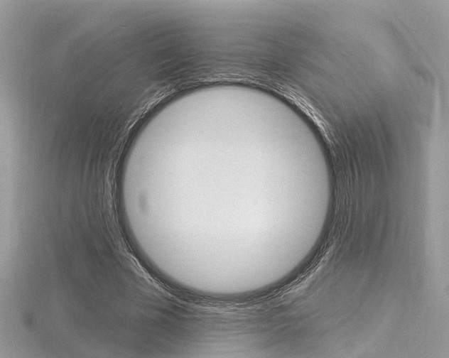 X0000116550585200912101005