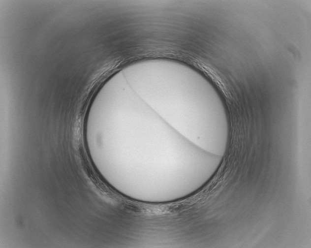 X0000116550586200912101005