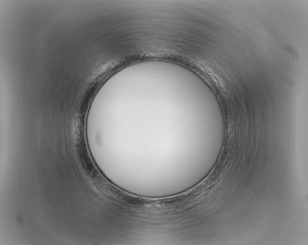 X0000116550591200912101004