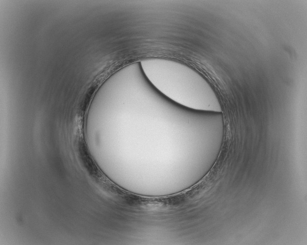 X0000116550598200912101004