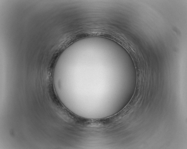 X0000116550601200912101004
