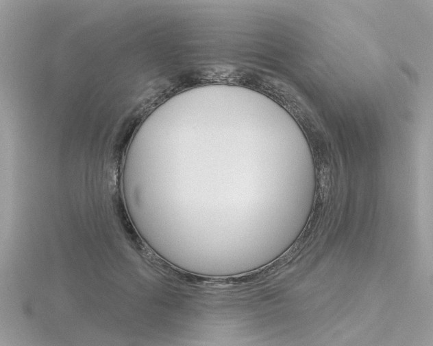 X0000116550602200912101004