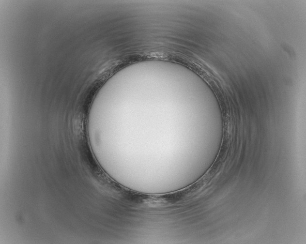 X0000116550603200912101004