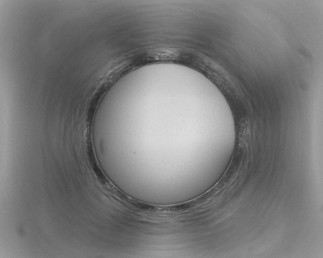 X0000116550604200912101004