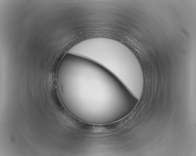 X0000116550605200912101004