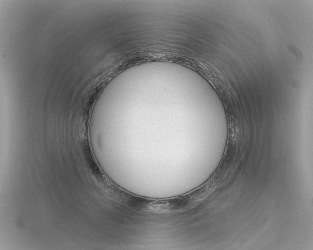 X0000116550606200912101004