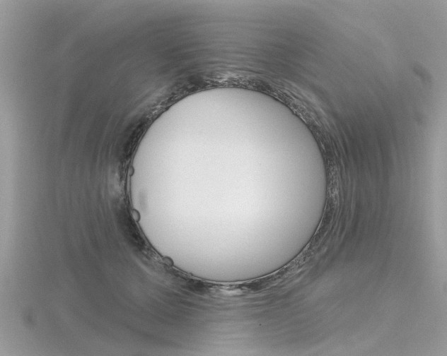 X0000116550607200912101004