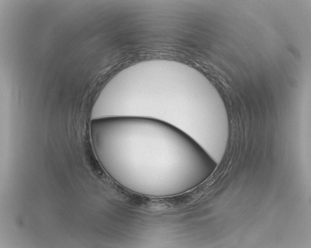 X0000116550608200912101004