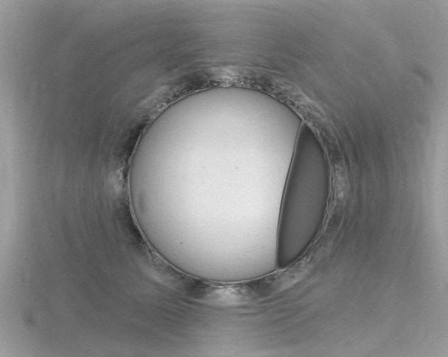 X0000116550611200912101004