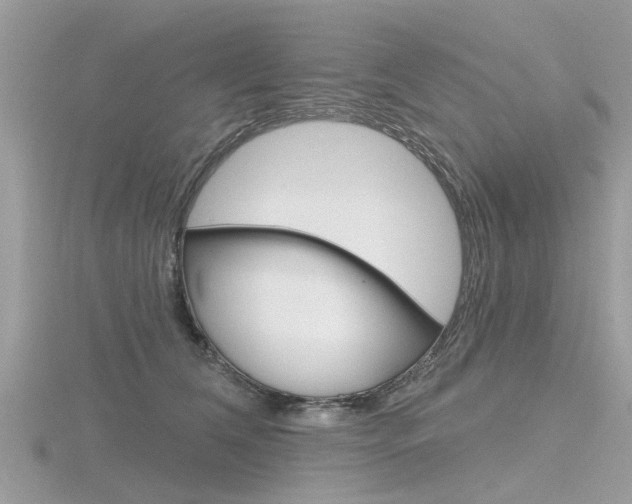 X0000116550612200912101004