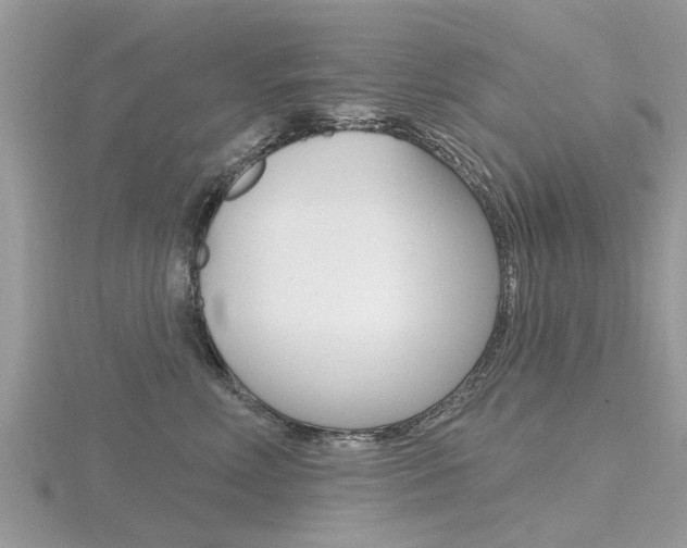 X0000116550618200912101004