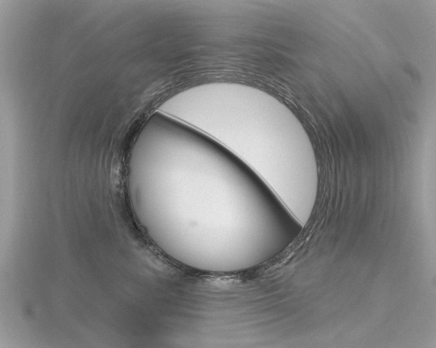 X0000116550619200912101004