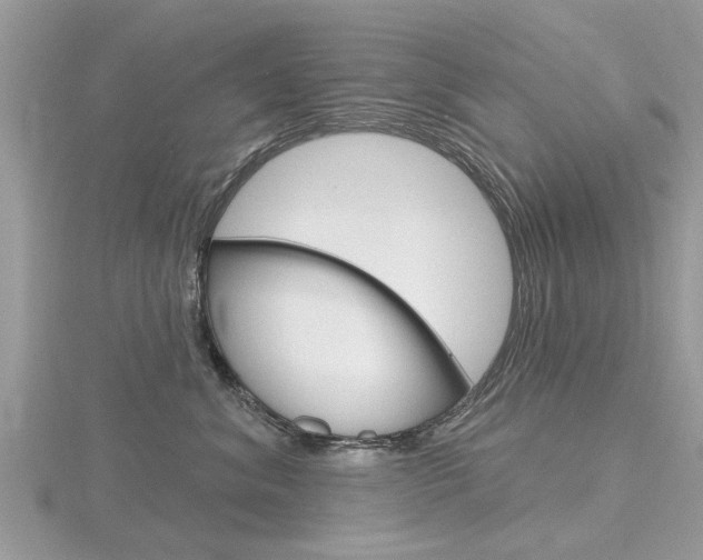X0000116550620200912101004