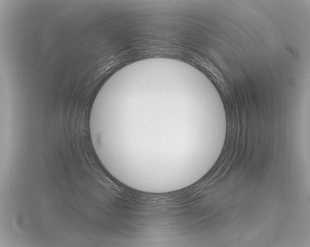 X0000116550621200912101004