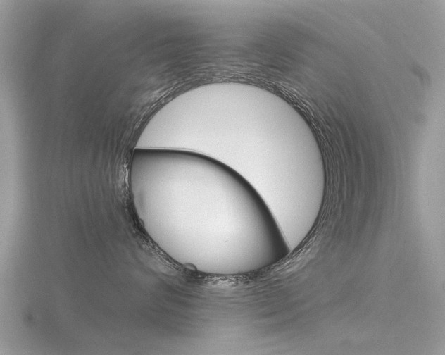 X0000116550624200912101004