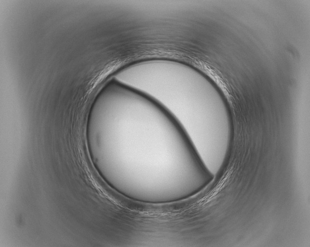 X0000116550625200912101003