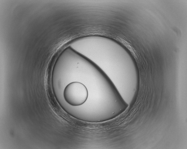 X0000116550627200912101003