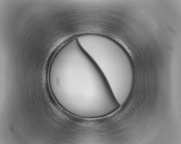 X0000116550629200912101003