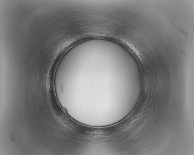 X0000116550631200912101003