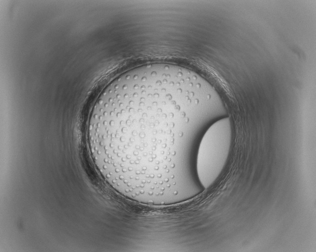 X0000116550635200912101004