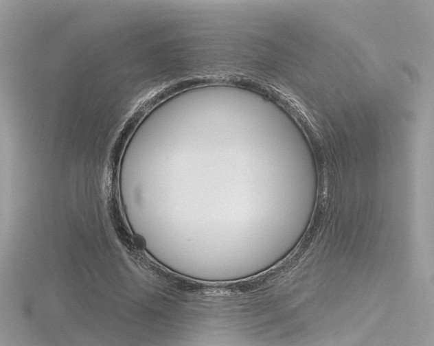 X0000116550636200912101004