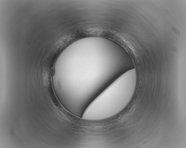 X0000116550641200912101004