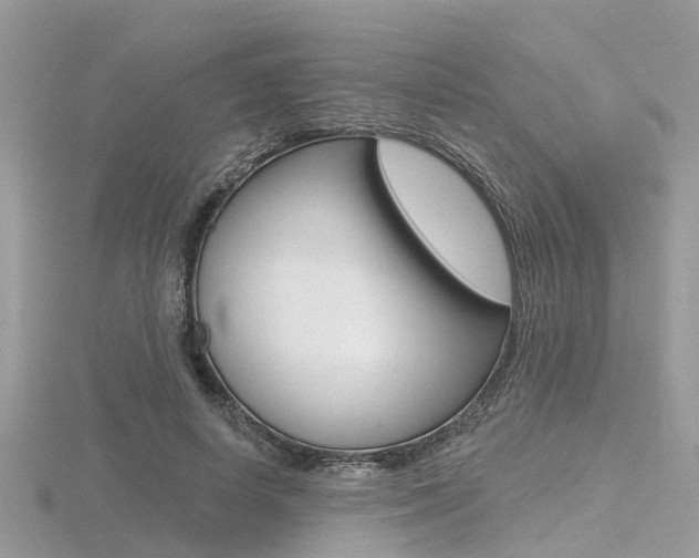 X0000116550642200912101004