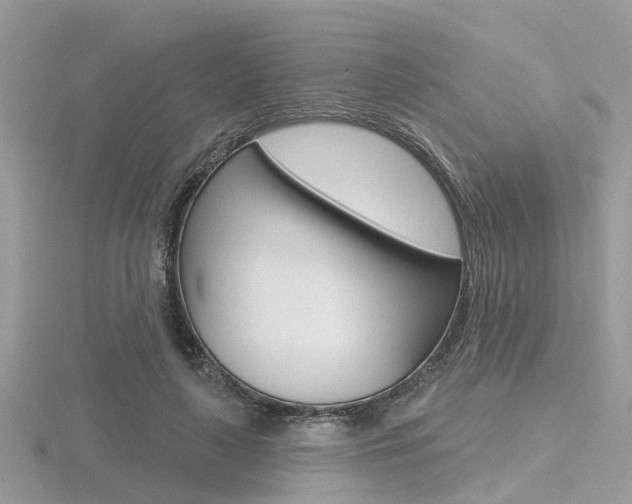 X0000116550643200912101004