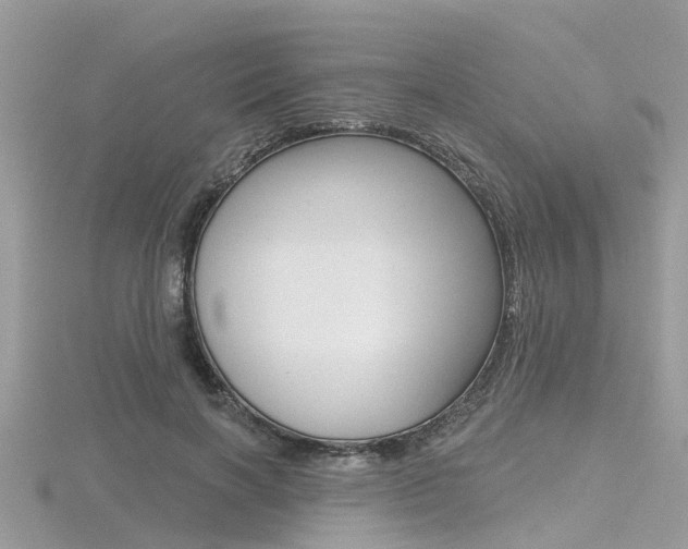 X0000116550646200912101004