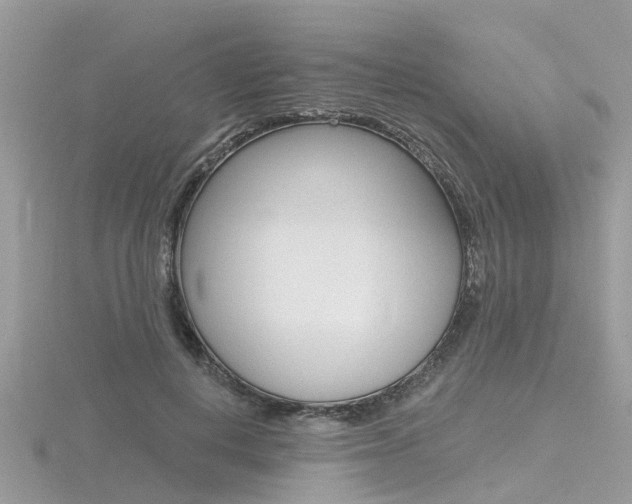 X0000116550648200912101004