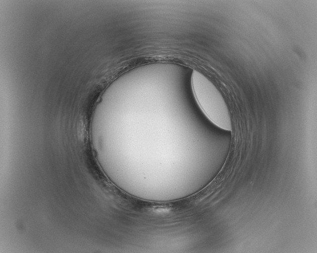 X0000116550651200912101004
