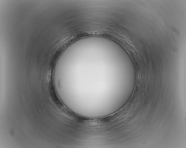 X0000116550652200912101004