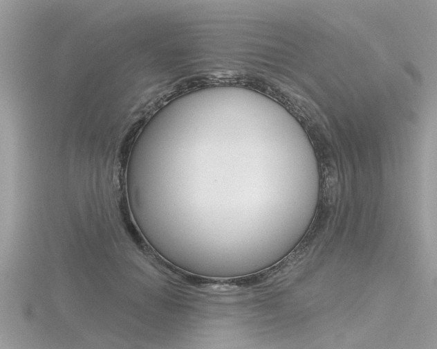 X0000116550654200912101004