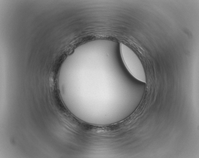 X0000116550655200912101004