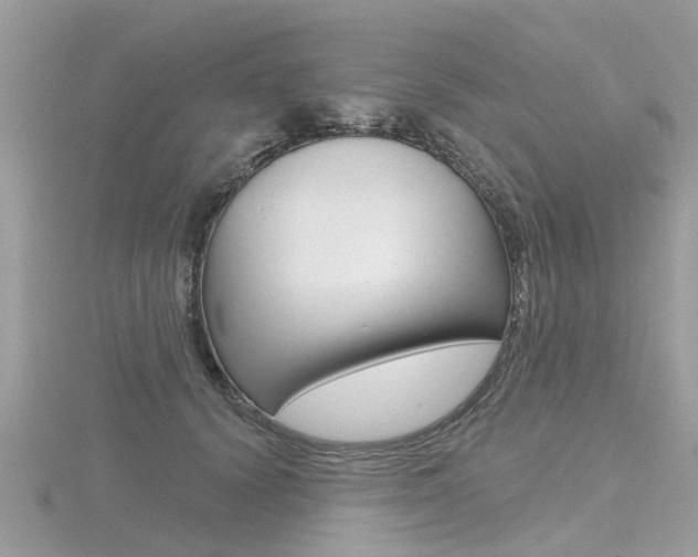 X0000116550656200912101004
