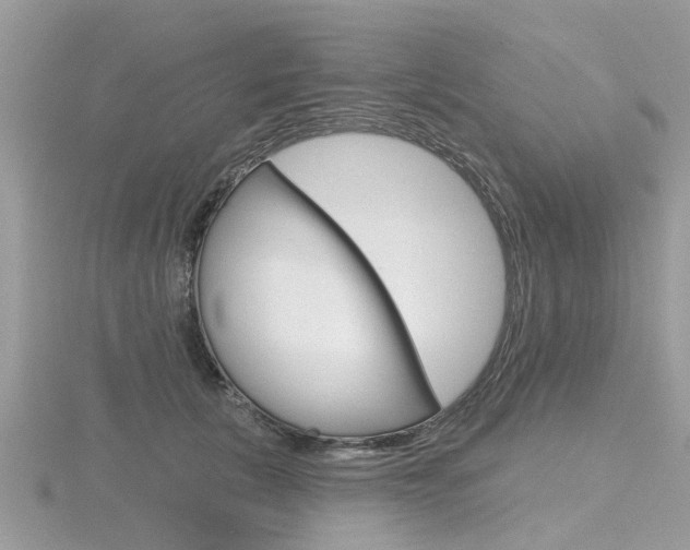 X0000116550657200912101004