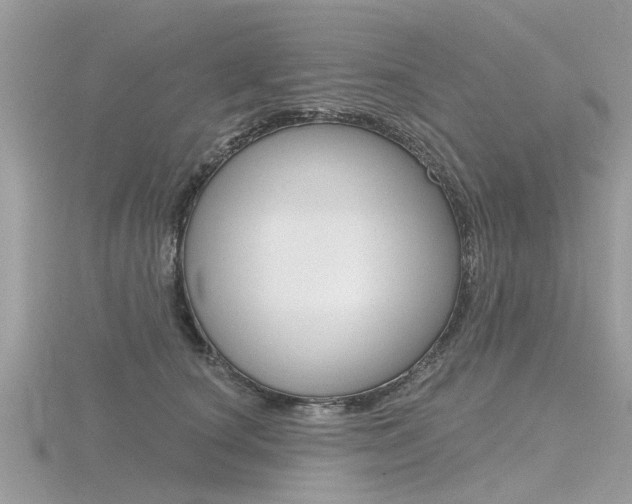 X0000116550660200912101004